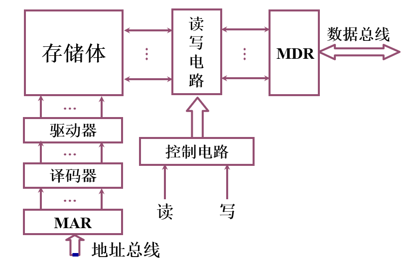 主存的基本组成