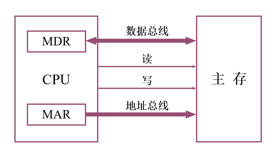 主存和CPU的联系